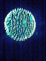 070804_1937~003.jpg