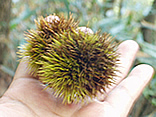 P1010013.jpg
