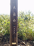 P1010021.jpg