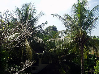 P1010045.jpg