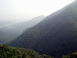 P1010254.jpg
