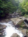 P1010257.jpg