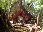 P1010285.jpg