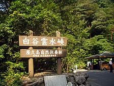 P1010353.jpg