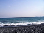 P1010429.jpg