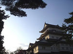P1010440.jpg