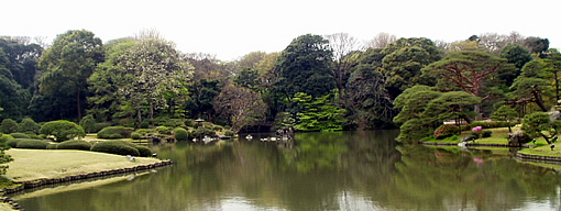 P1010495.jpg