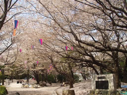 P1010512.jpg