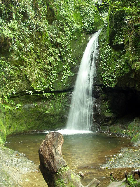 P1010541.jpg