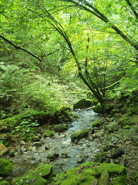 P1010547.jpg