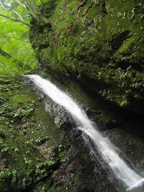 P1010562.jpg