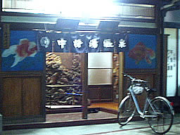 P1010296.jpg