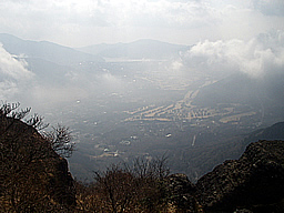 P1010376.jpg